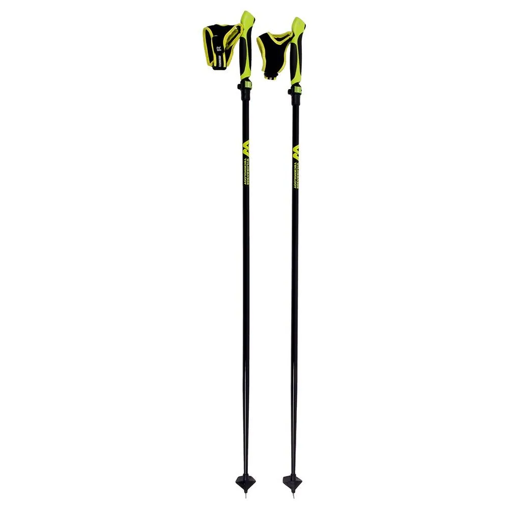 ADJUSTABLE SNOWSHOE POLES