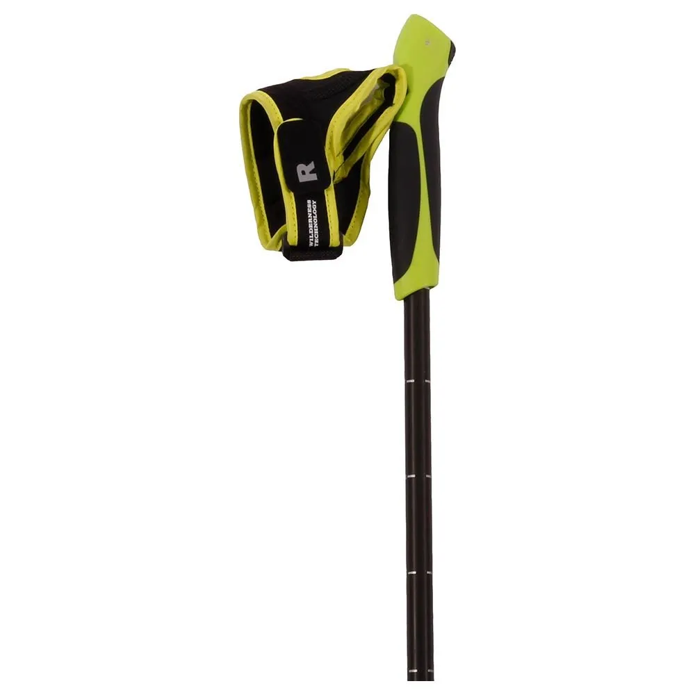 ADJUSTABLE SNOWSHOE POLES