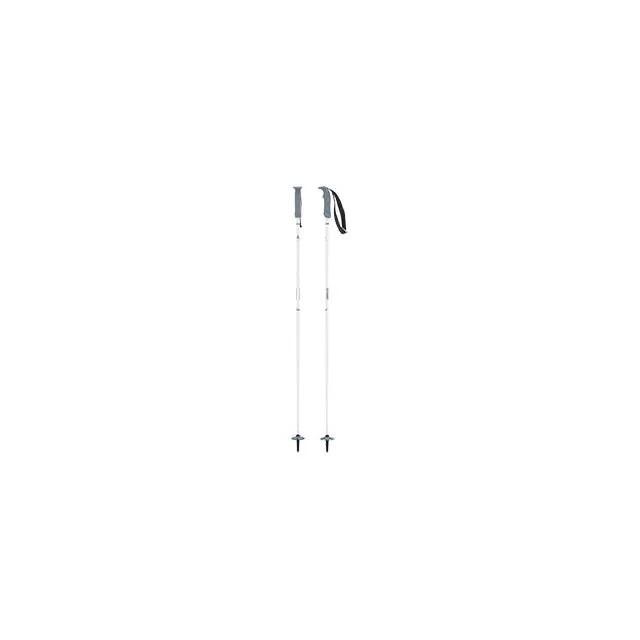 AMT CARBON - 2023