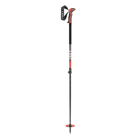 Backcountry Ski Pole Rental