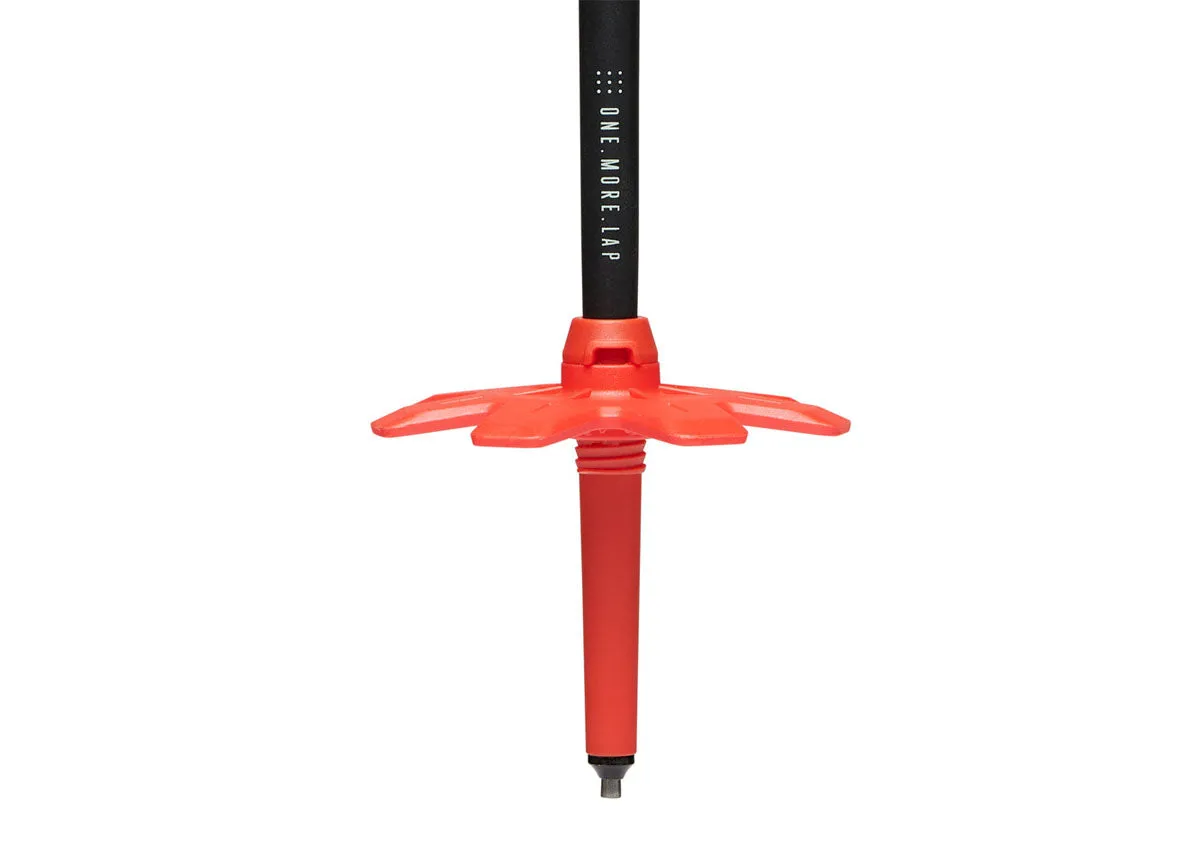 Traverse Ski Poles